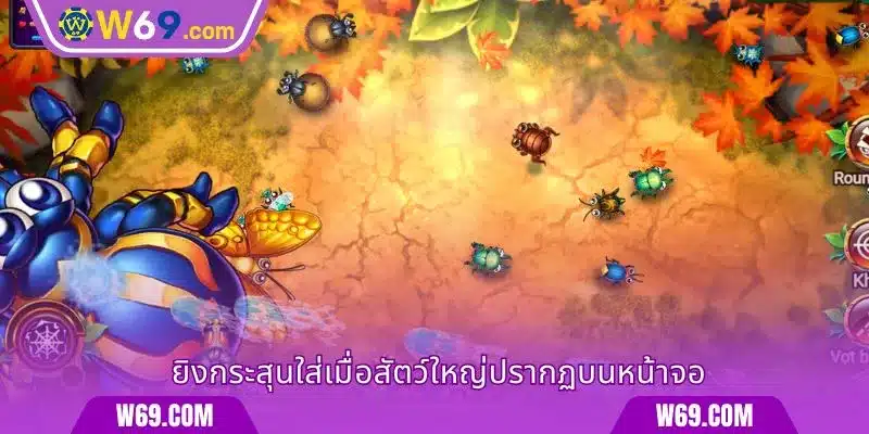 ยิงกระสุนใส่เมื่อสัตว์ใหญ่ปรากฏบนหน้าจอ